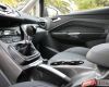 thumbs_dsc_1260