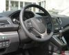 thumbs_dsc_7201