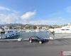 thumbs_0136