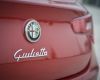 thumbs_dsc_8091_01