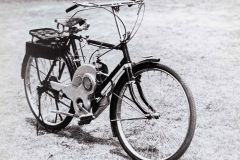 suzuki-1