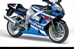 suzuki-24