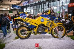 dsc3532