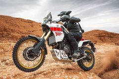 eicma-6