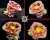 thumbs_008