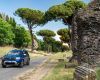 thumbs_dacia-4436-jpg