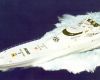 thumbs_04-destriero-mare-1