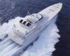 thumbs_05-destriero-mare-2