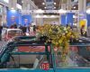 thumbs_048