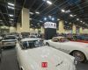 thumbs_dsc4516