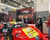 thumbs_img_4541