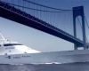thumbs_08-destriero-ponte-verrazzano-a-n-y