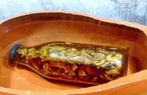 Vasocottura (in acqua su fiamma e in acqua al forno)