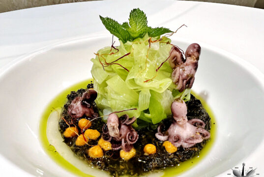 Tagliolini di porro al pesto di menta con zafferano liquido e polipetti
