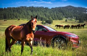 Ford Mustang Mach-E AWD, galoppa verso il futuro