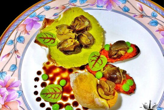 Capriccio di molluschi di terra e di mare con riduzione di porto