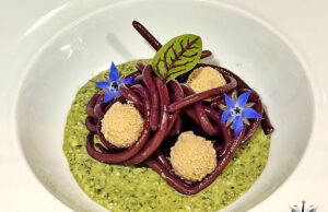 Bigoli al cavolo rosso con uova di merluzzo e pesto di acetosa venata rossa