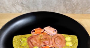 Agnolotti alle fave di cacao con macco di fave e green mussel
