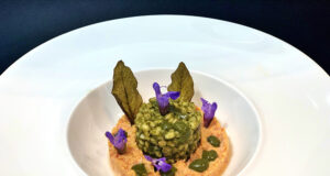 Orzotto alla clorofilla di salvia con mousse di ventricina piccante