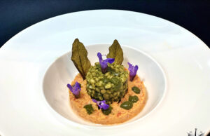 Orzotto alla clorofilla di salvia con mousse di ventricina piccante