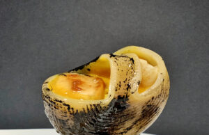 Palafitta di pacchero e lumacone con capesante e crema thai al curry