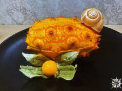 Kiwano Salad con zenzero, chiocciole e garam masala