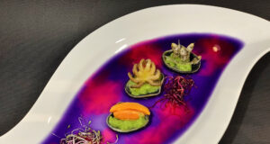 Fantasia di Clam 3D con sardine, coralli, moscardini e germogli rossi