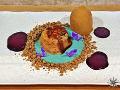 Stracotto di cervo con cremoso di fiori di salvia e coulis di mirtilli